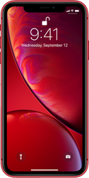 iPhone XR
